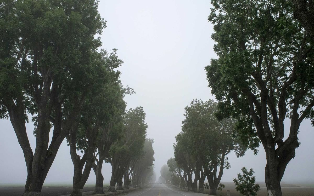 实锤存档:某综艺剪辑魔改时间线 三位嘉宾联合发声